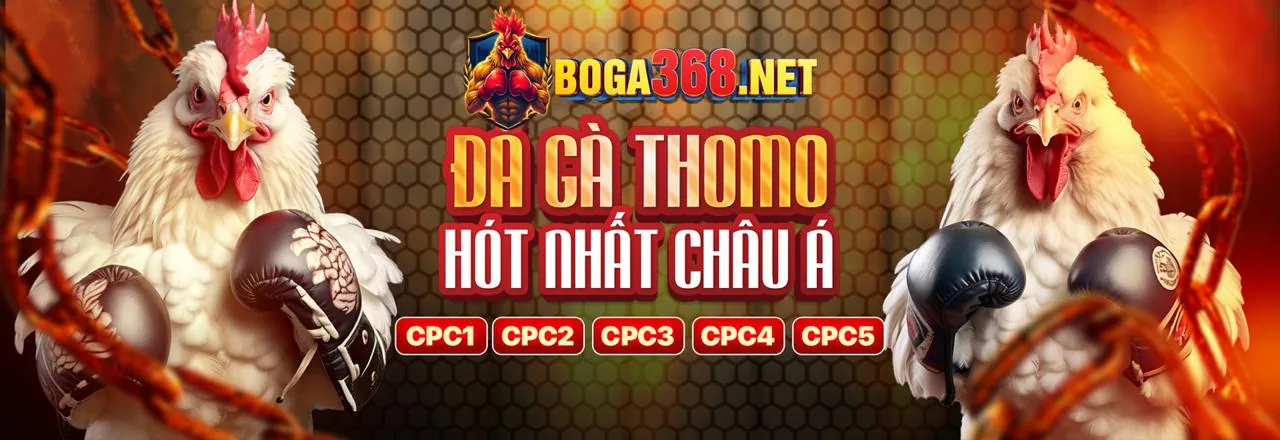 Ưu Đãi Hoàn Trả Hàng Ngày tại đá gà cựa sắt trực tiếp