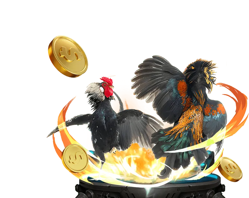 Hình ảnh quảng cáo khuyến mãi độc quyền cho người chơi đá gà