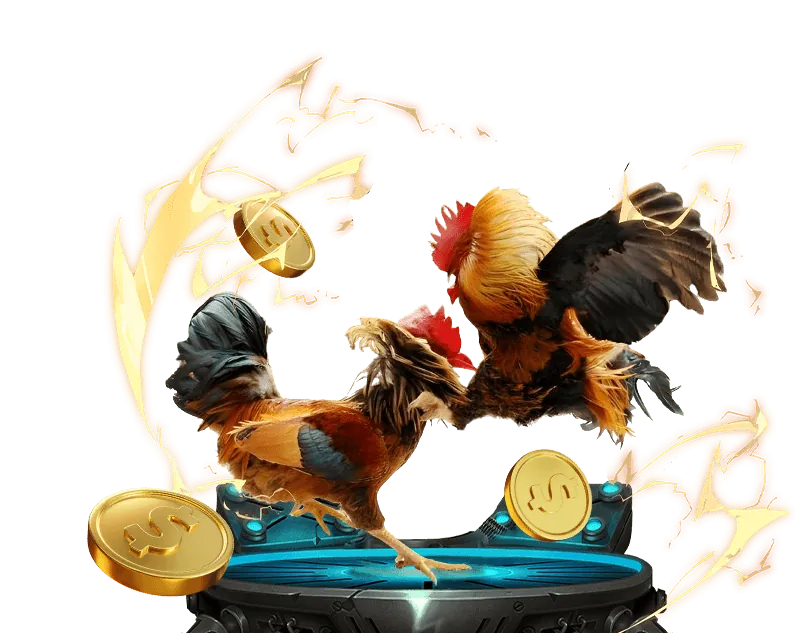 Cách chọn nền tảng đá gà online uy tín